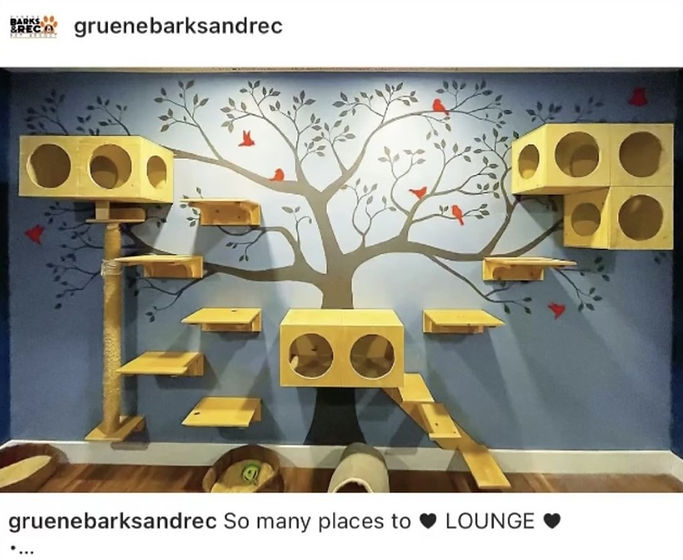 Boarding New Braunfels, TX Gruene Barks & Rec