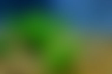 Co2 Experiment (Part 2)