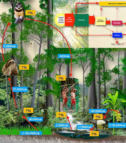 Screen Shot 2019-06-08 at 11.57.57 AM.pn