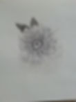 flower sketch