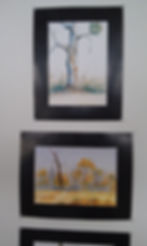 student landscapes