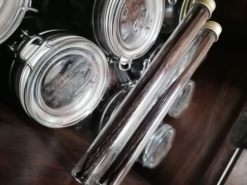 Thumbnail: Planifolia Vanilla Gourmet from Guadeloupe