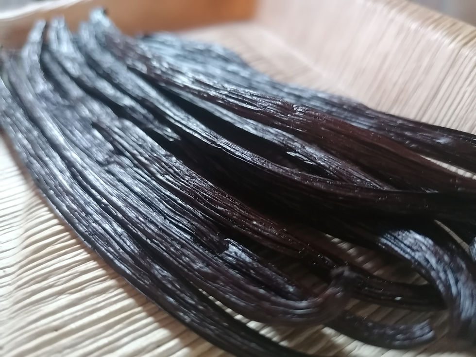Thumbnail: Planifolia Gourmet Vanilla Fraîche from La Réunion IGP 