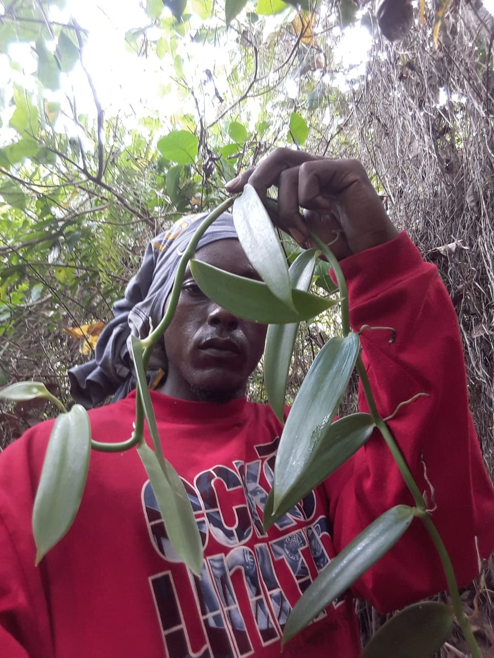 Karel, Bleinheim Dominica