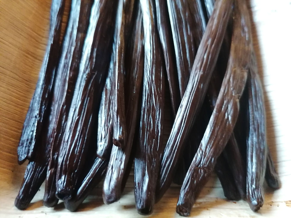 Thumbnail: Planifolia Vanilla Gourmet from New Caledonia