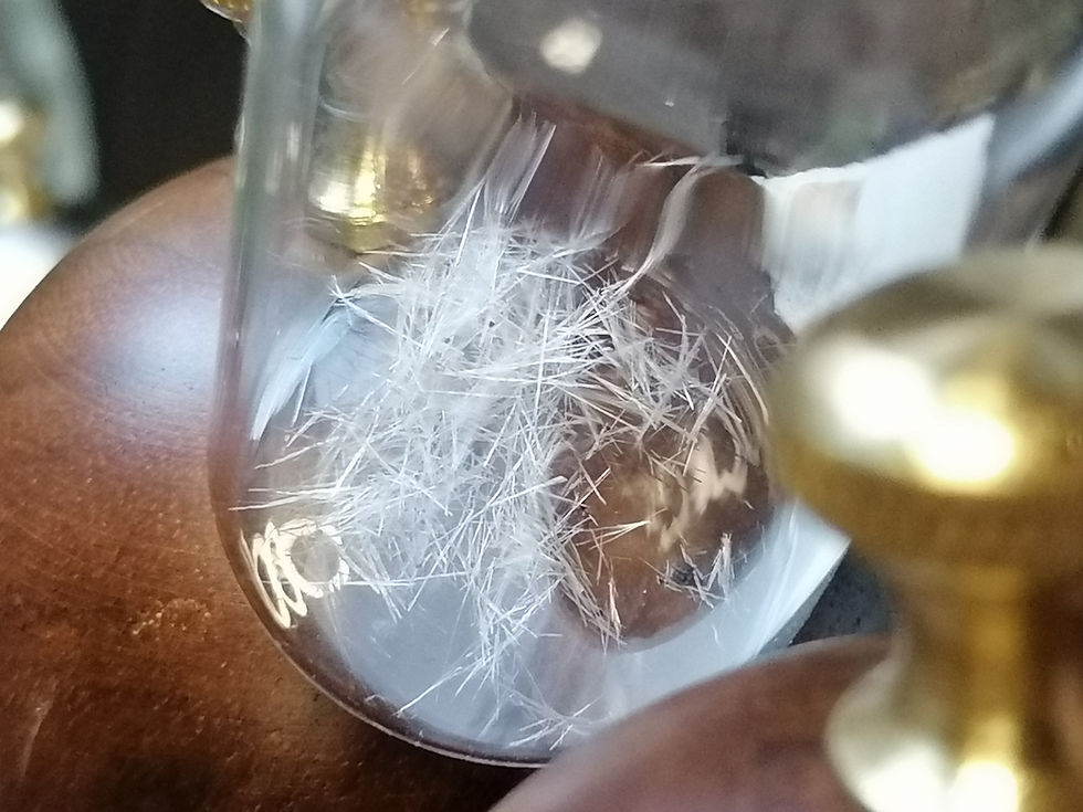 Thumbnail: Vanillin Crystals