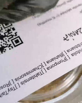 Thumbnail: Muscovado Vanilla Sugar