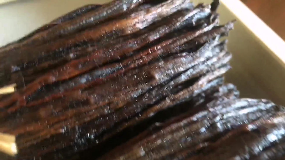 Thumbnail: Planifolia Bourbon Red Vanilla from Madagascar