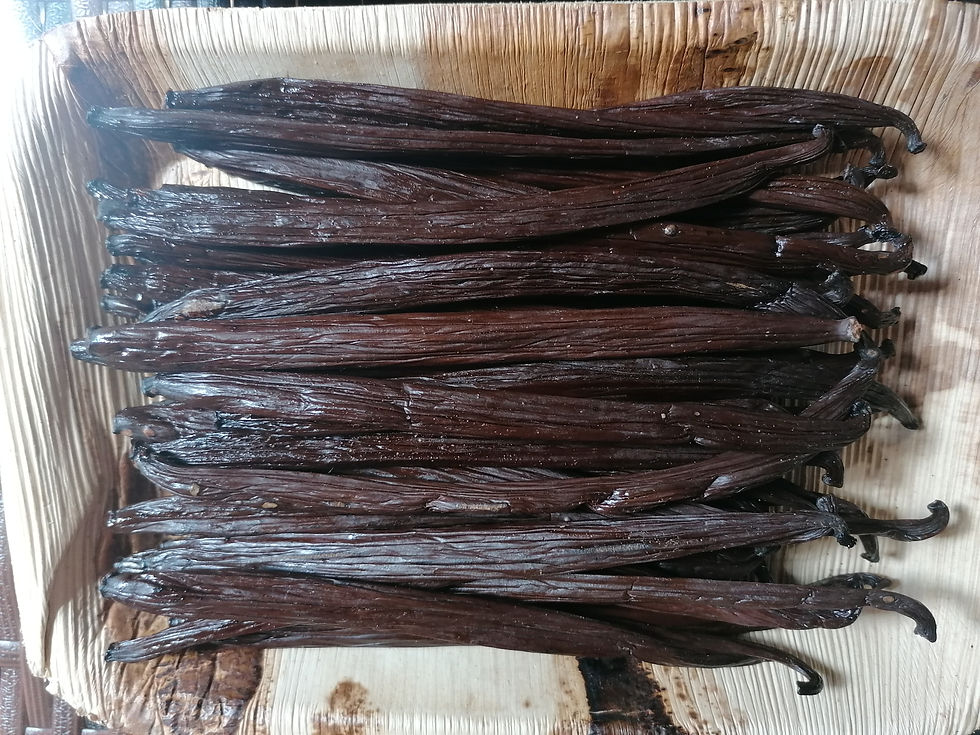 Thumbnail: Tahitensis Warium Vanilla Gourmet