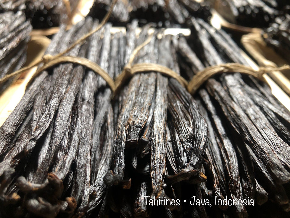 Tahitine Vanilla Gourmet from Java