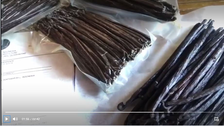 Thumbnail: Tahitine Vanilla Gourmet from Java