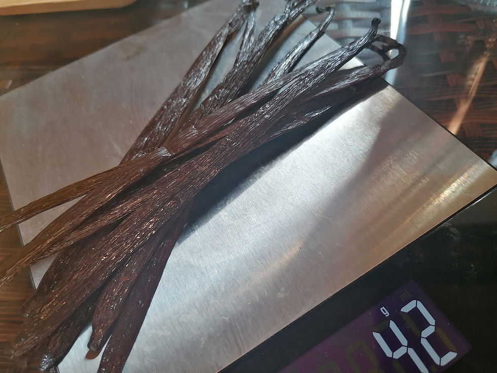 Thumbnail: Planifolia Vanilla Gourmet from Mexico