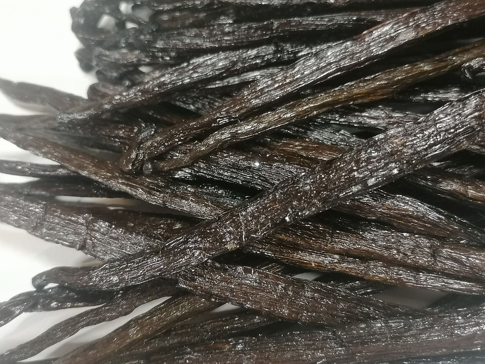 Thumbnail: 65 Odorata Vanilla givrée from Ecuador