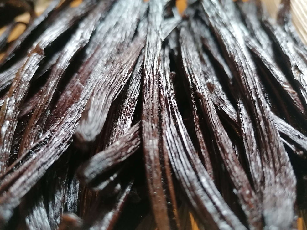 Thumbnail:  Planifolia Vanilla Gourmet* from Mayotte