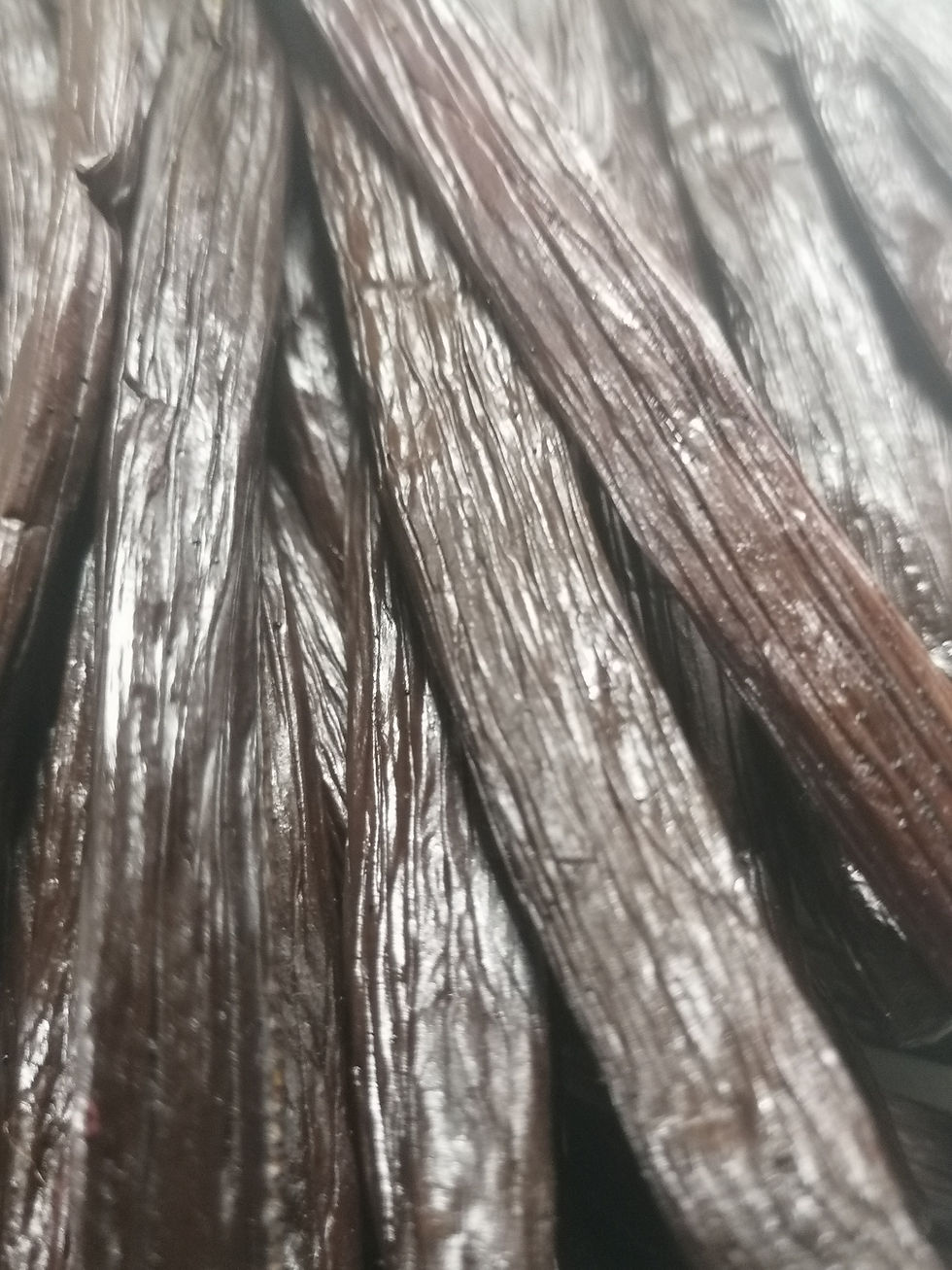Thumbnail: 66 Planifolia Vanilla from Kenya