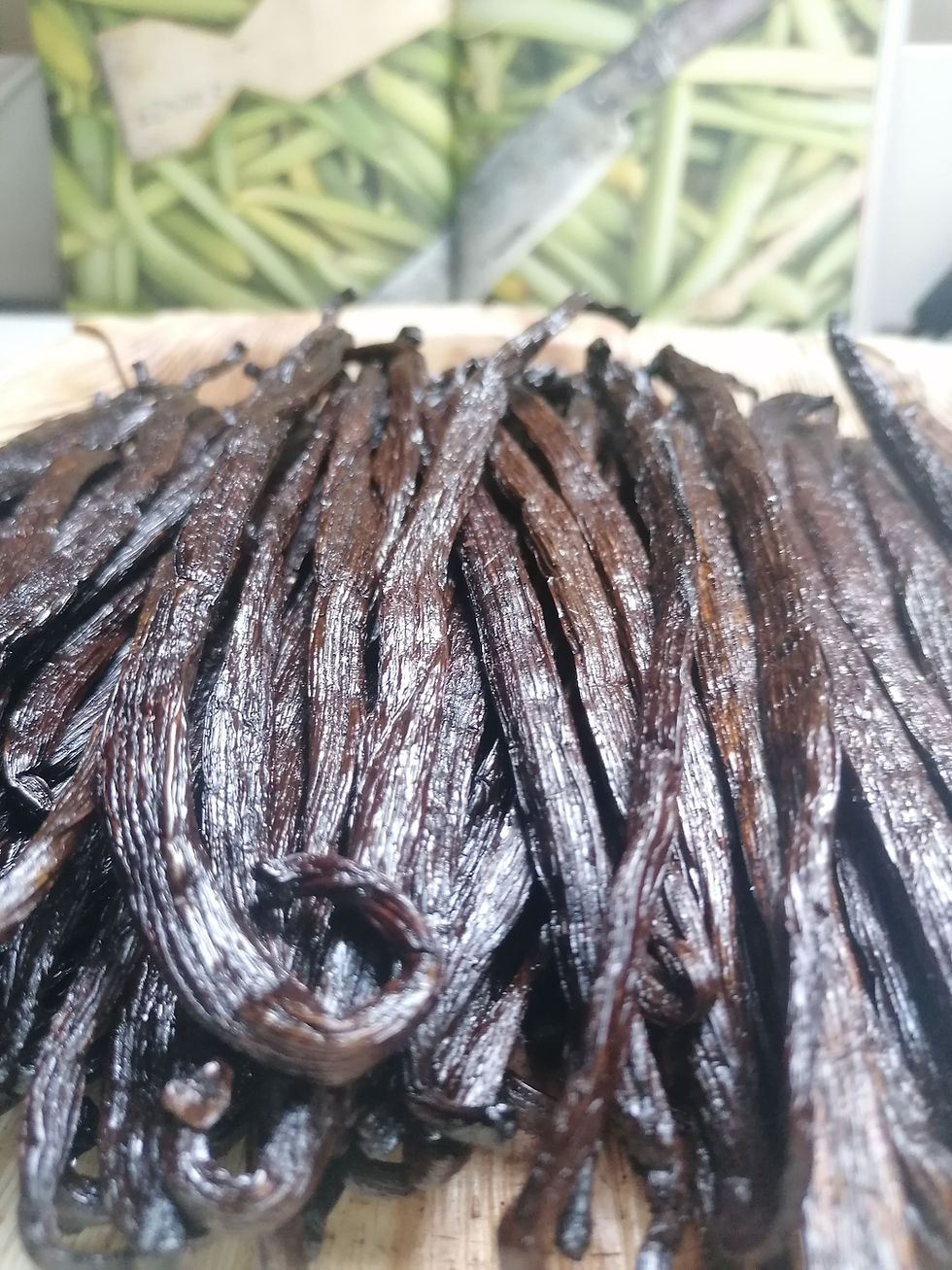 Thumbnail: 65 Odorata Vanilla givrée from Ecuador