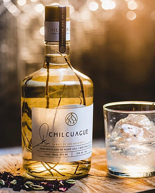 Chilcuague-raiz-oro-mexicana-agave.jpg