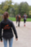 IMG_A55D0CF0C744-1.jpeg