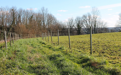 Piste herbe 1100m