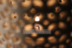 victoriasarlabousphotographer