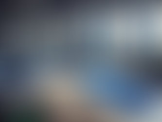 Impact of The Fitness Challenge on The Kinesiology Student Experience