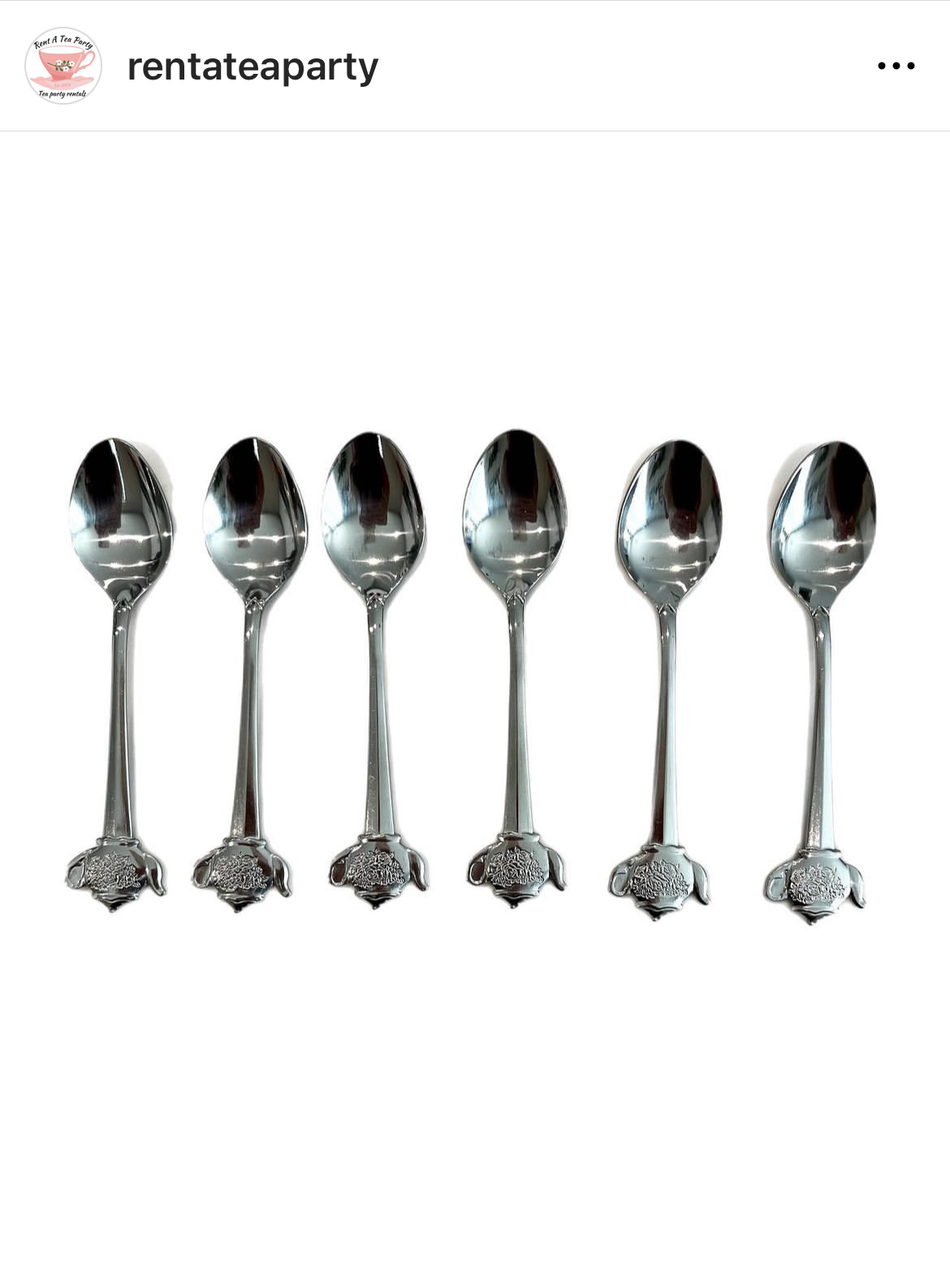 Silver Small Teapot Spoon