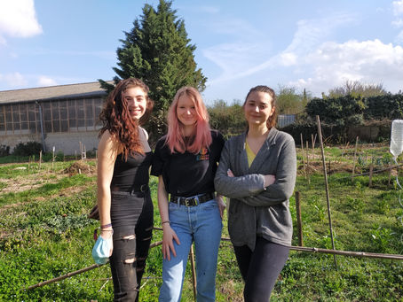 Après midi aux jardins partagés de labruguière