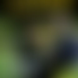 JEAN VANIER, LE SACREMENT DE LA TENDRESSE | Samedi 13 avril 2019 à 17:30