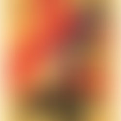 LE CAMERAMAN | Vendredi 2 octobre 16:30