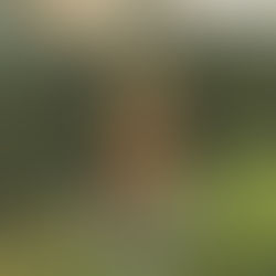 O QUE ARDE (Viendra le feu) | Samedi 25 jan. 18:30