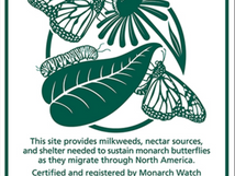 Equal time for the Butterflies. . or It's all about the milkweed