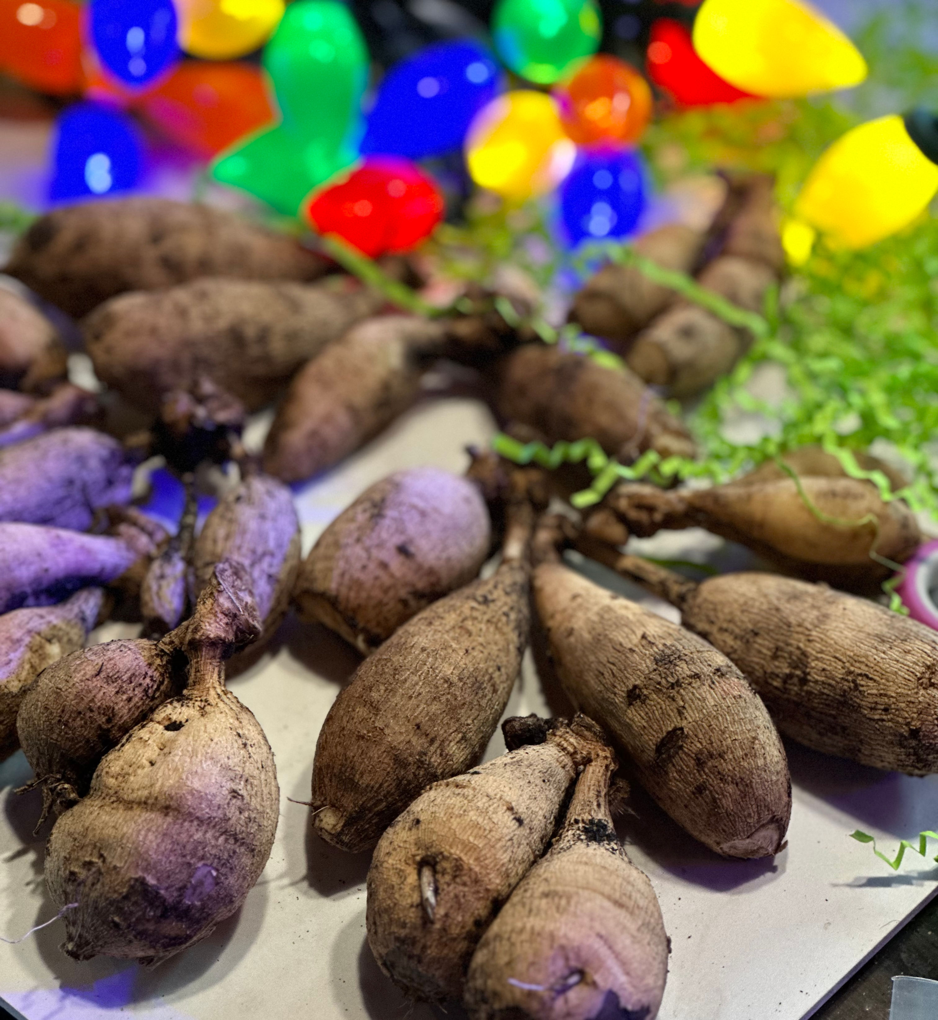 Holiday Box O' Tubers in insulated box
