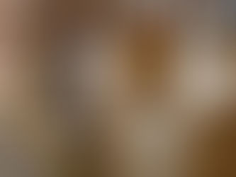 Reverse Logistics Market Outlook Size And Future Landscape 2034