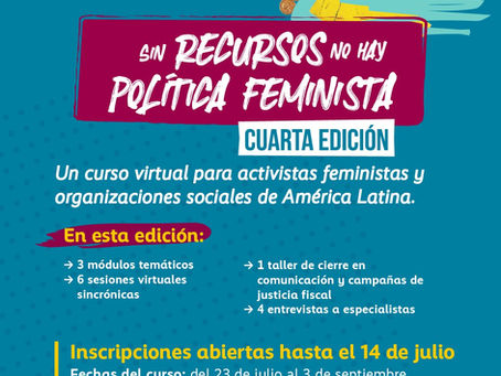 Sin recursos no hay política feminista. IV edición del curso virtual