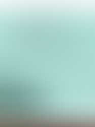 La seguridad alimentaria, el modelo productivo y su efecto sobre las mujeres