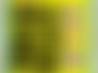 Comienza la Semana de Acción global fuera G20/FMI