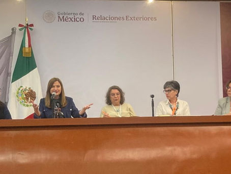 LOS CUIDADOS EN DISPUTA: Side event en la XVI CRM de ALC
