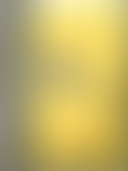 International Gender and Trade Network: Workshops at the World Social Forum