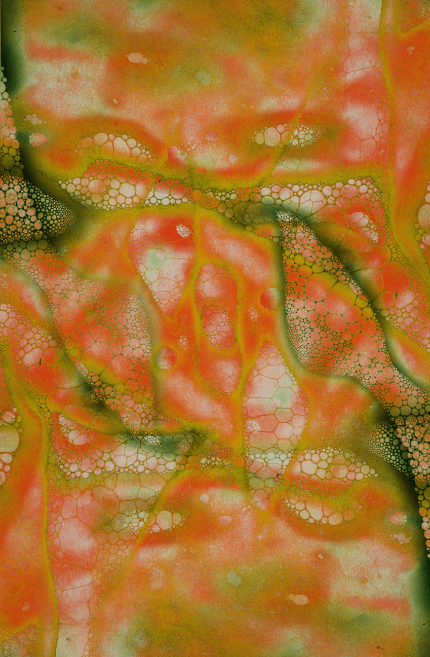 Webp.net-gifmaker (3).gif