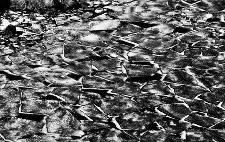 Thaw
