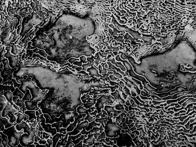Metallic Field