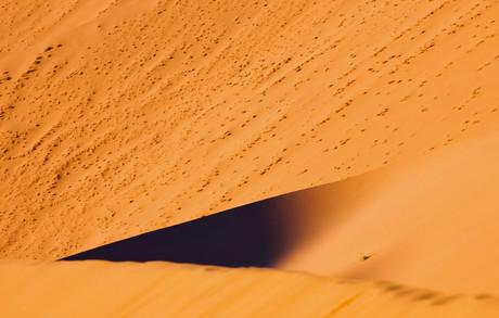 Shade Blade #1