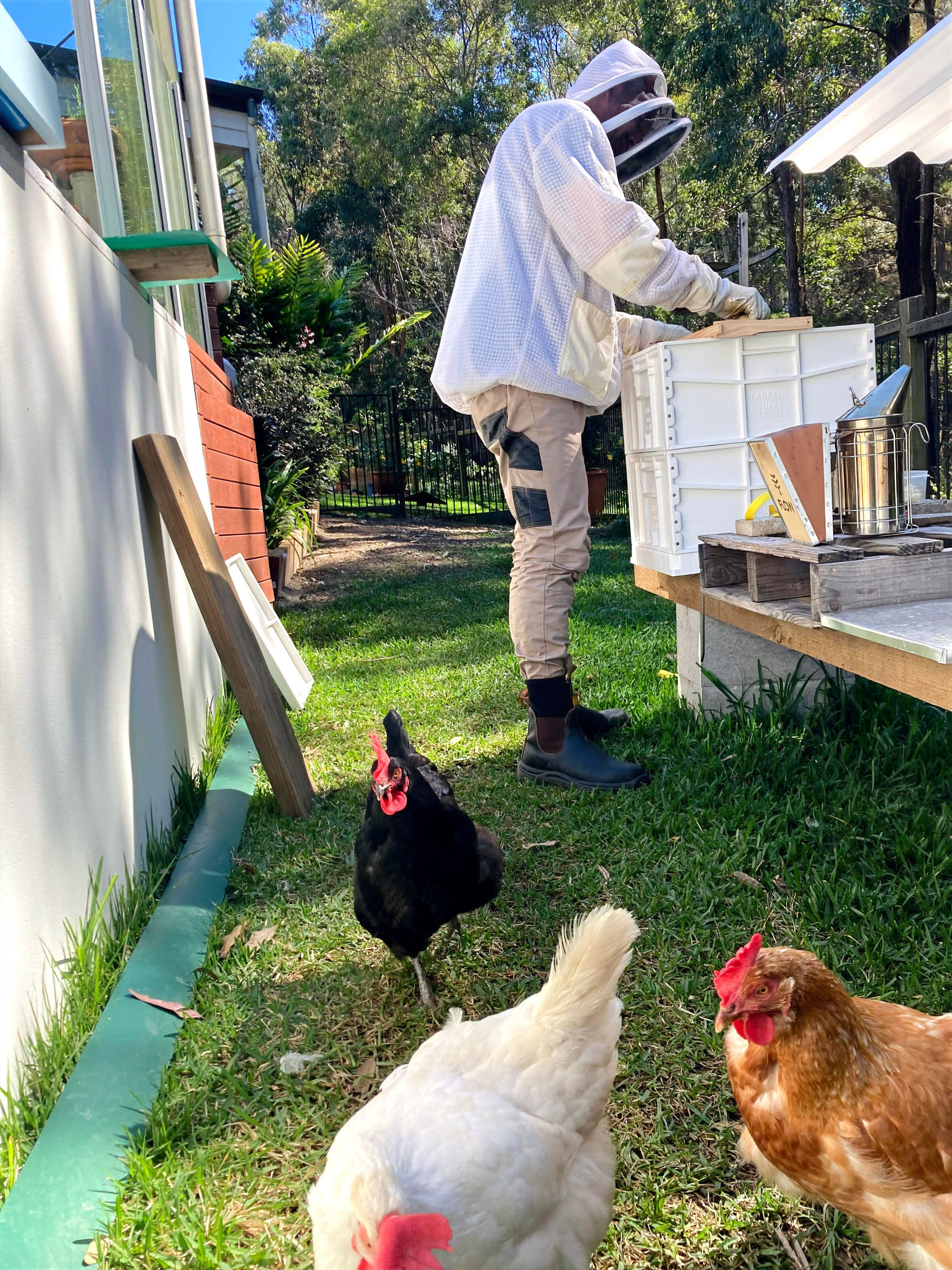 Beehive Inspection Service