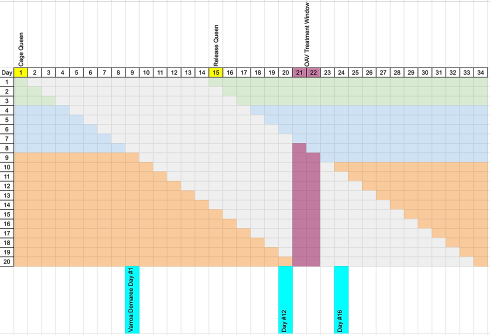 Brood breaks and Varroa control