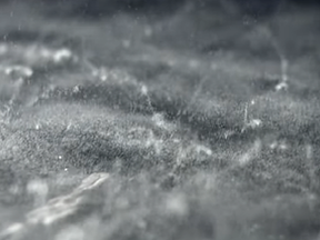 Cloud Chamber
