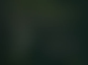 Permeable Worlds Discussion Panel