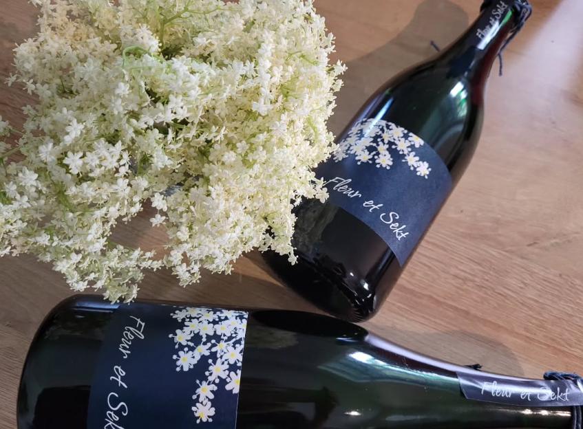 Hollundersekt