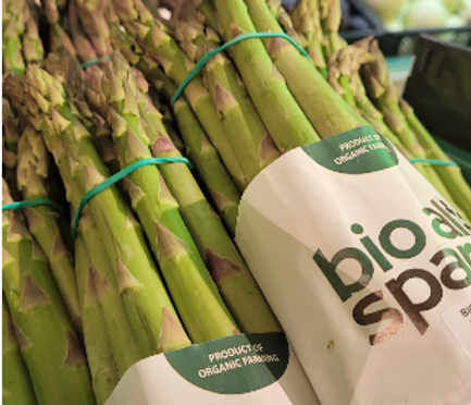 250425 Spargel.png
