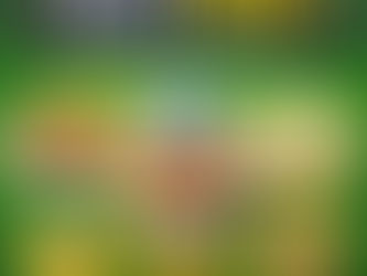 Seizoensafsluiter 2025/2026