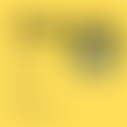 🚨 DRINGEND OP ZOEK NAAR TRAINERS! 🚨